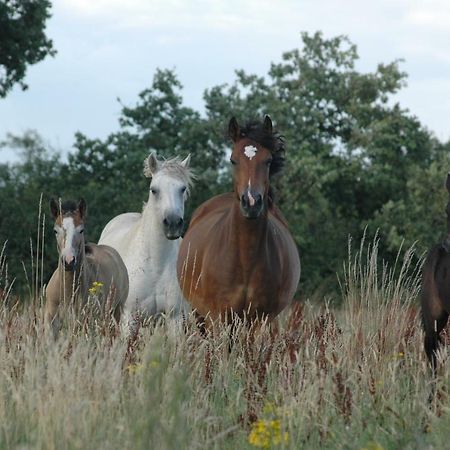 Petit Gite A La Ferme Villa Rosnay  Dış mekan fotoğraf