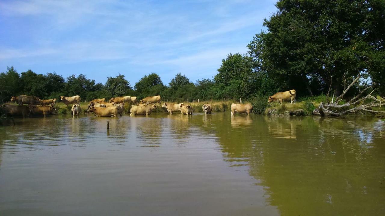 Petit Gite A La Ferme Villa Rosnay  Dış mekan fotoğraf