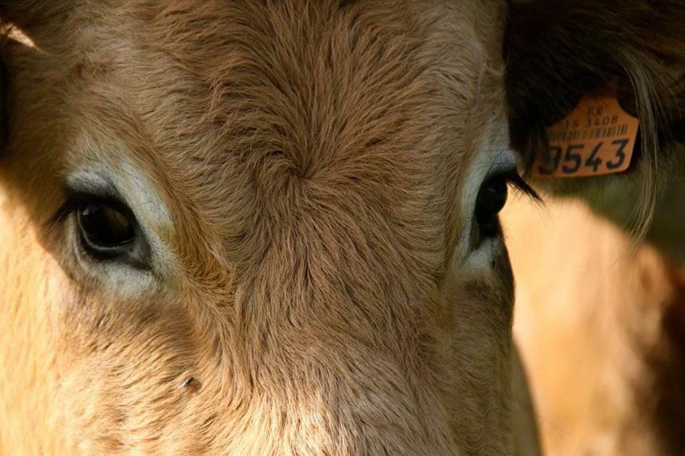 Petit Gite A La Ferme Villa Rosnay  Dış mekan fotoğraf