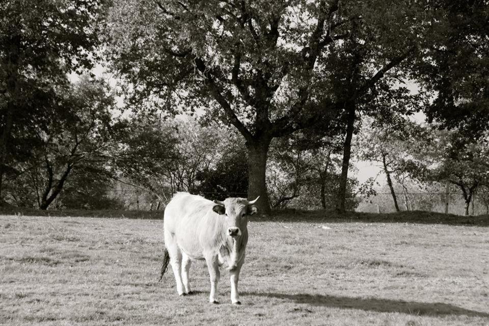 Petit Gite A La Ferme Villa Rosnay  Dış mekan fotoğraf