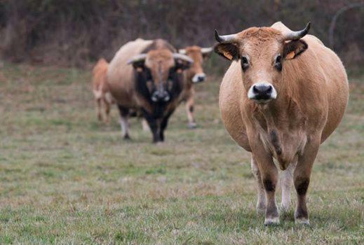 Petit Gite A La Ferme Villa Rosnay  Dış mekan fotoğraf